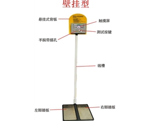 JH-001壁挂型数显式人体静电测试仪